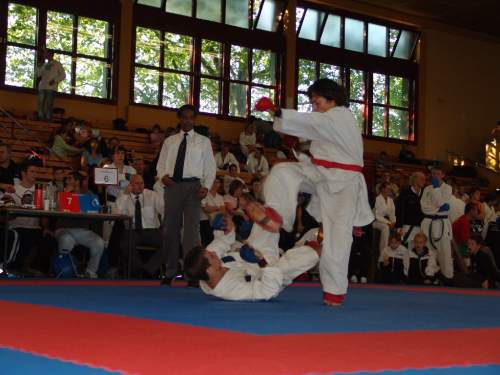 DSC02552.jpg --- erstellt mit toms-galerie V1.3 - www.tomshaus.de