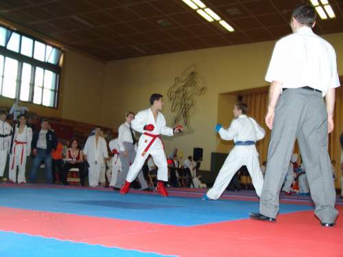 DSC02554.jpg --- erstellt mit toms-galerie V1.3 - www.tomshaus.de