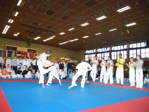 DSC02605.jpg --- erstellt mit toms-galerie V1.3 - www.tomshaus.de