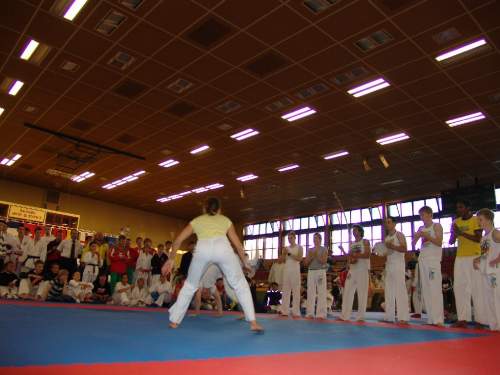 DSC02607.jpg --- erstellt mit toms-galerie V1.3 - www.tomshaus.de