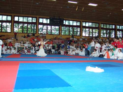 DSC02626.jpg --- erstellt mit toms-galerie V1.3 - www.tomshaus.de