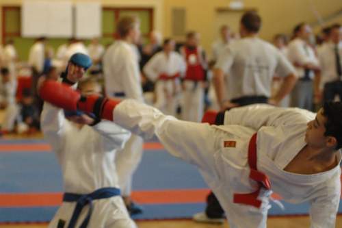 DSC_4191.jpg --- erstellt mit toms-galerie V1.3 - www.tomshaus.de