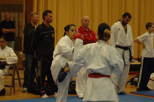 DSC_4556.jpg --- erstellt mit toms-galerie V1.3 - www.tomshaus.de