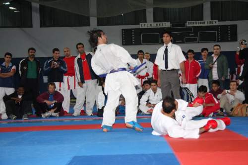 IMG_8149.jpg --- erstellt mit toms-galerie V1.3 - www.tomshaus.de