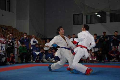 IMG_8153.jpg --- erstellt mit toms-galerie V1.3 - www.tomshaus.de