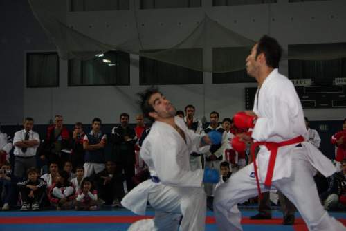 IMG_8157.jpg --- erstellt mit toms-galerie V1.3 - www.tomshaus.de