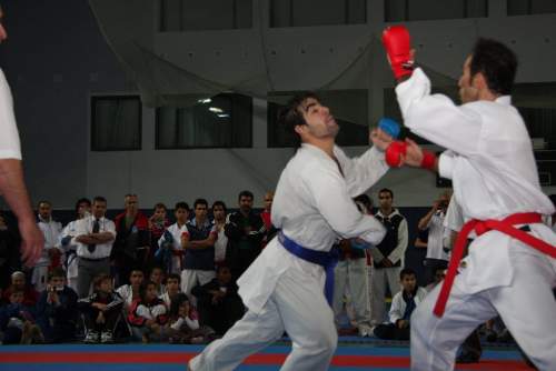 IMG_8166.jpg --- erstellt mit toms-galerie V1.3 - www.tomshaus.de