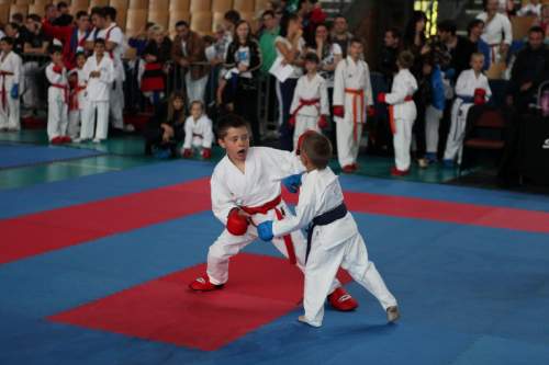 IMG_0787.jpg --- erstellt mit toms-galerie V1.3 - www.tomshaus.de