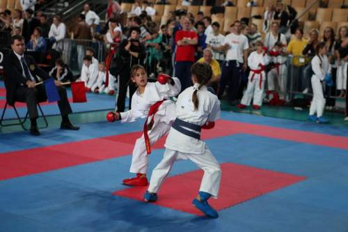 IMG_0824.jpg --- erstellt mit toms-galerie V1.3 - www.tomshaus.de