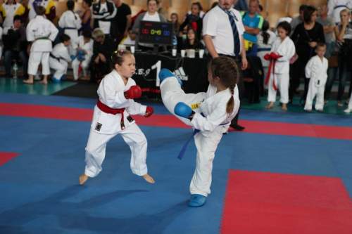 IMG_0831.jpg --- erstellt mit toms-galerie V1.3 - www.tomshaus.de