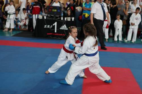 IMG_0832.jpg --- erstellt mit toms-galerie V1.3 - www.tomshaus.de