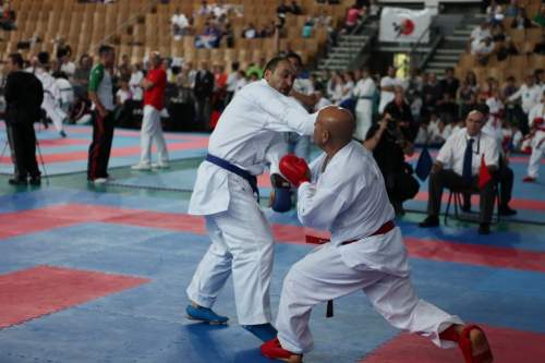 IMG_0979.jpg --- erstellt mit toms-galerie V1.3 - www.tomshaus.de