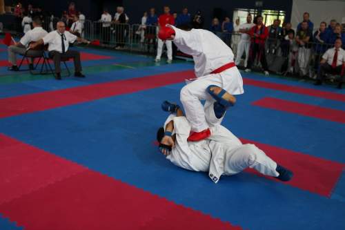 IMG_1056.jpg --- erstellt mit toms-galerie V1.3 - www.tomshaus.de