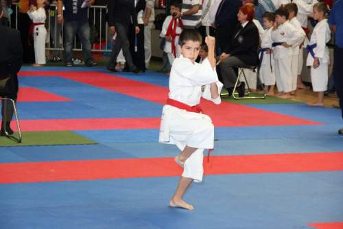 IMG_1695.JPG --- erstellt mit toms-galerie V1.3 - www.tomshaus.de