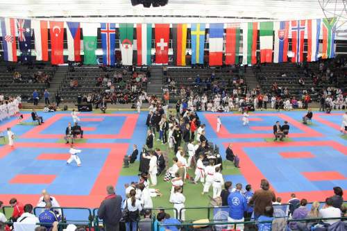 IMG_1729.JPG --- erstellt mit toms-galerie V1.3 - www.tomshaus.de