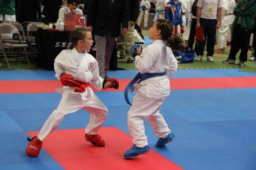 IMG_1852.JPG --- erstellt mit toms-galerie V1.3 - www.tomshaus.de