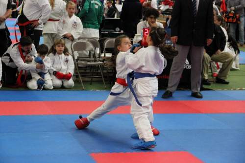 IMG_1855.JPG --- erstellt mit toms-galerie V1.3 - www.tomshaus.de