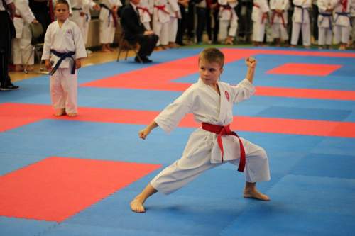 IMG_1911.JPG --- erstellt mit toms-galerie V1.3 - www.tomshaus.de