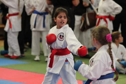 IMG_1921.JPG --- erstellt mit toms-galerie V1.3 - www.tomshaus.de