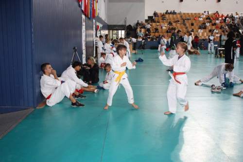 IMG_0089.jpg --- erstellt mit toms-galerie V1.3 - www.tomshaus.de