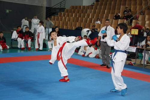 IMG_1756.jpg --- erstellt mit toms-galerie V1.3 - www.tomshaus.de