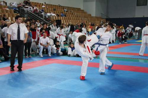 IMG_1781.jpg --- erstellt mit toms-galerie V1.3 - www.tomshaus.de