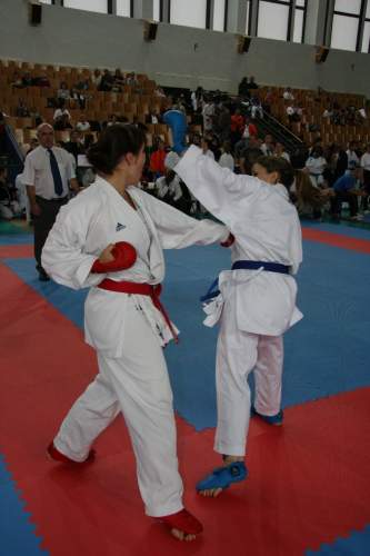 IMG_3099.jpg --- erstellt mit toms-galerie V1.3 - www.tomshaus.de