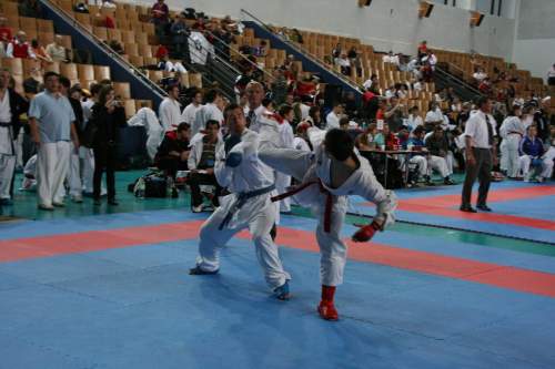 IMG_3387.jpg --- erstellt mit toms-galerie V1.3 - www.tomshaus.de