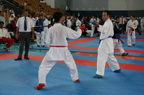 IMG_3607.jpg --- erstellt mit toms-galerie V1.3 - www.tomshaus.de