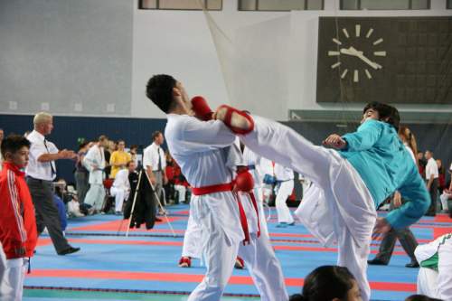 IMG_4012.jpg --- erstellt mit toms-galerie V1.3 - www.tomshaus.de